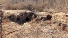 La Generalitat declara l'emergència cinegètica a Ponent per la sobrepoblació de conills