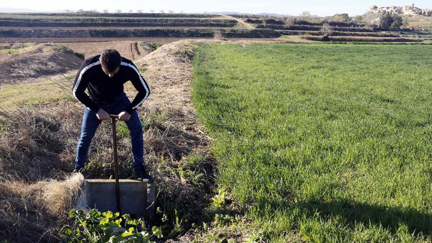 Un regador dona aigua a un camp d'Arbeca