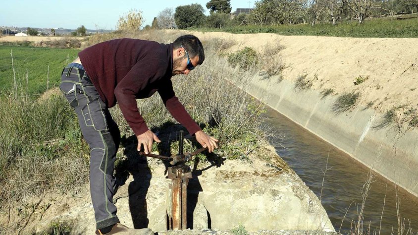 Un regador dona l'aigua del Canal d'Urgell a un camp d'Arbeca