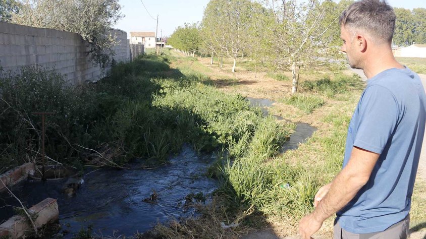 Un pagès controla l'aigua en el primer i últim reg de la seva finca de noguera