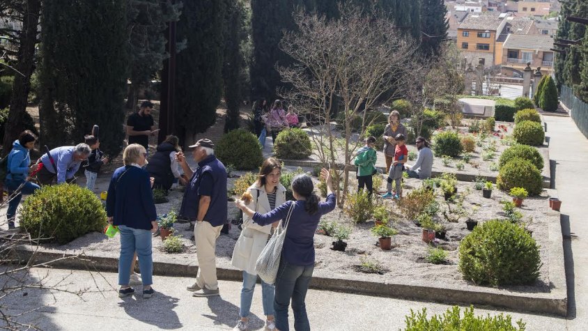 Plantació dels rosers