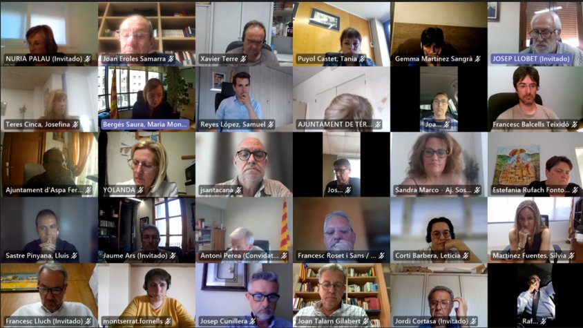 Reunió telemàtica