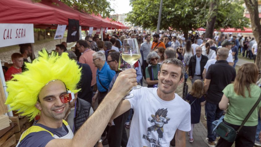 El passeig del Sió es va omplir de visitants que van acudir a la mostra