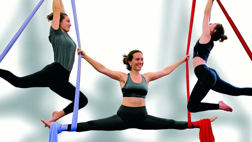 Mostra de les activitats