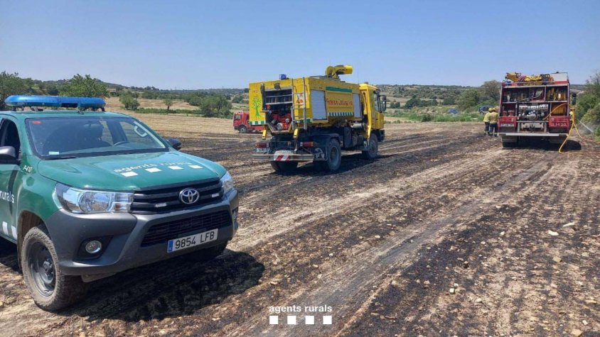 Agents Rurals i ADF treballant en la campanya de la sega