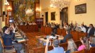 La Diputació de Lleida aprova amb el cartipàs, que redueix a 10 les comissions informatives