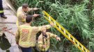 Veïns de Tàrrega denuncien acumulació de deixalles i males herbes al Reguer 