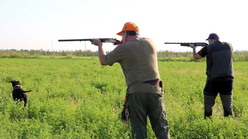 Dos caçadors i un gos a un vedat de Bell-lloc d'Urgell