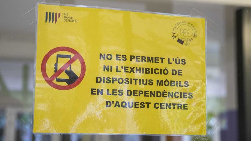 El cartell a l'institut Manuel de Pedrolo