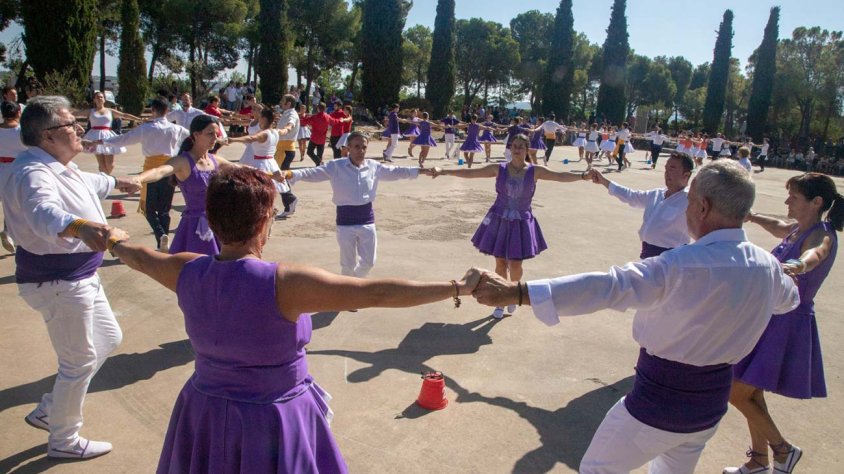 Les colles participants a la 38a edició del Concurs Nacional de Colles Sardanistes