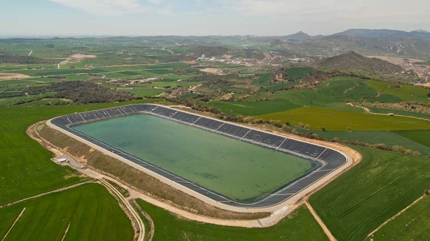 Una bassa del Segarra-Garrigues