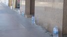 Divuit multes en una setmana a Tàrrega per no netejar l'orina i no recollir els excrements dels gossos 
