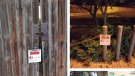 Agramunt ja compta amb 25 voluntaris registrats per alimentar i controlar les colònies felines