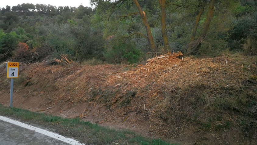 Imatge amb la qual el GEMA suporta la seva denúncia
