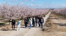 L'Urgell organitza de nou passejades per gaudir dels ametllers florits 