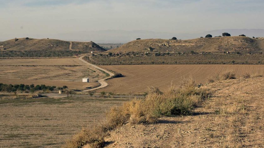 Camps de cultiu prop del Mas de l'Estadella