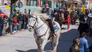 Tres Tombs amb 86 carruatges i un centenar de cavalleries a Anglesola