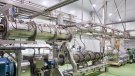 Cotecnica inverteix 16 milions en una innovadora fàbrica de pinso