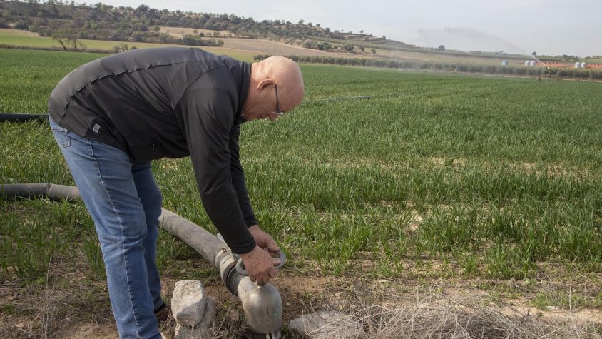 Justo Minguella ha començat avui a regar una finca de cereal al Segarra-Garrigues