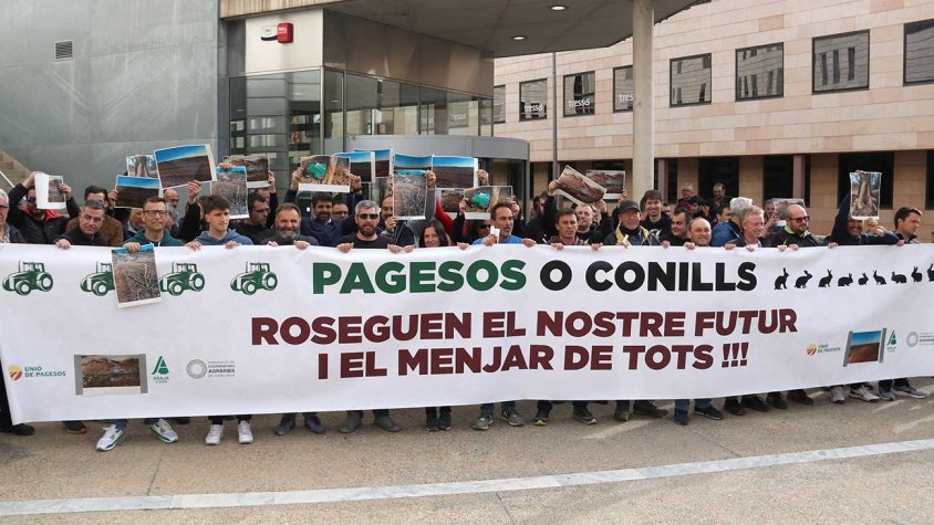 Concentració de suport als jutjats