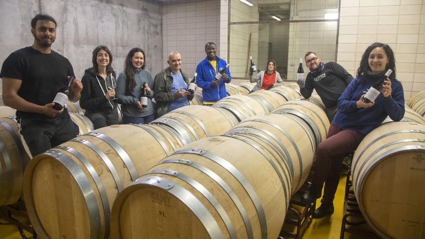 Un grup de treballadors al celler