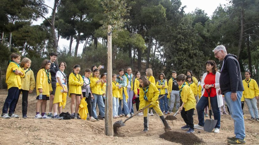 Plantació d'un arbre per part dels escoltes, l'alcaldessa de la ciutat i el president dels Amics de l'Arbre