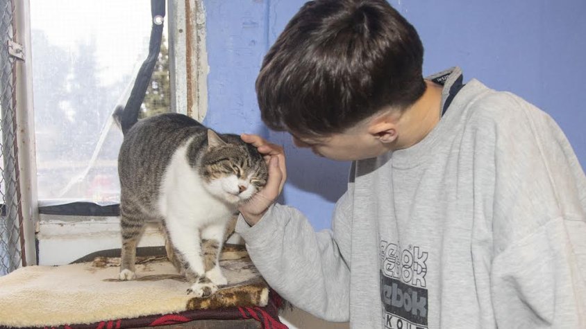 Imatge d'arxiu d'un voluntari amb un gat que hi havia al febrer a la gatera