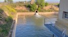 Regs històrics de l'Urgell ja reguen 1.300 ha del Segarra-Garrigues