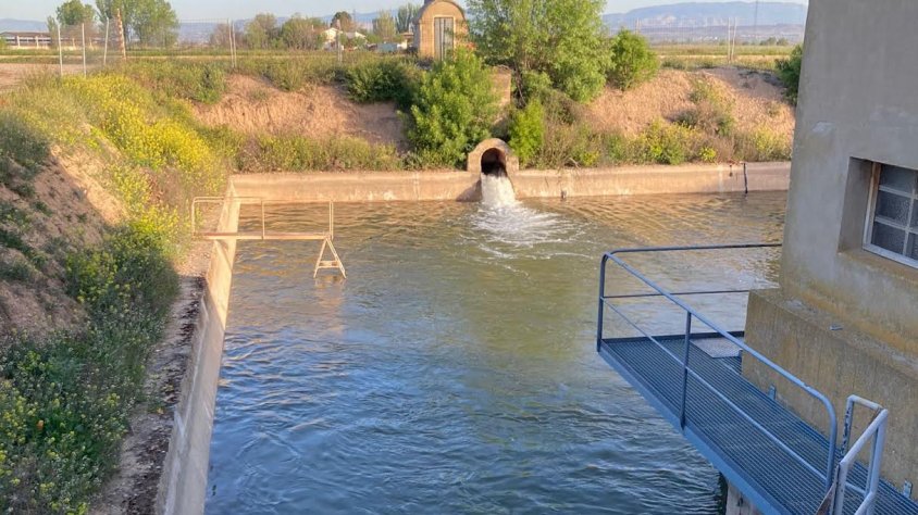 Una de les finques d’Anglesola regant per inundació ahir