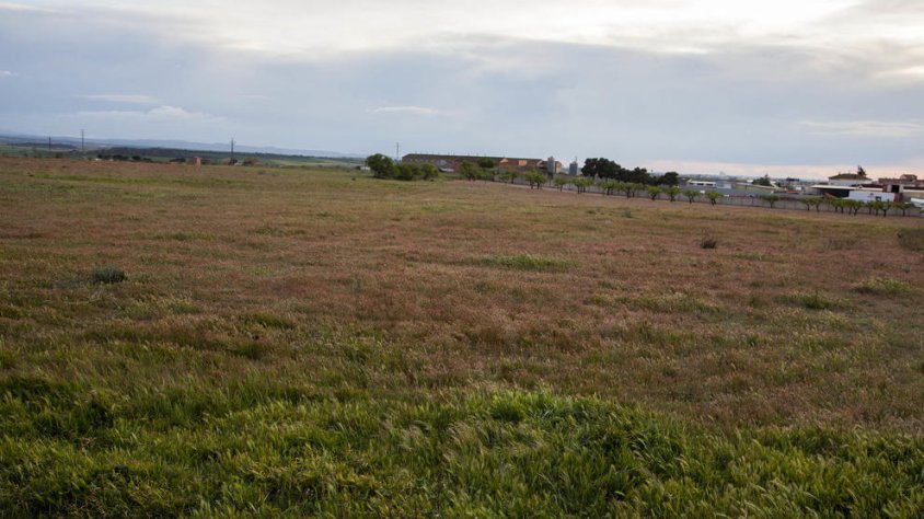 Els terrenys on està prevista la instal·lació de més de set mil panells solars a Anglesola