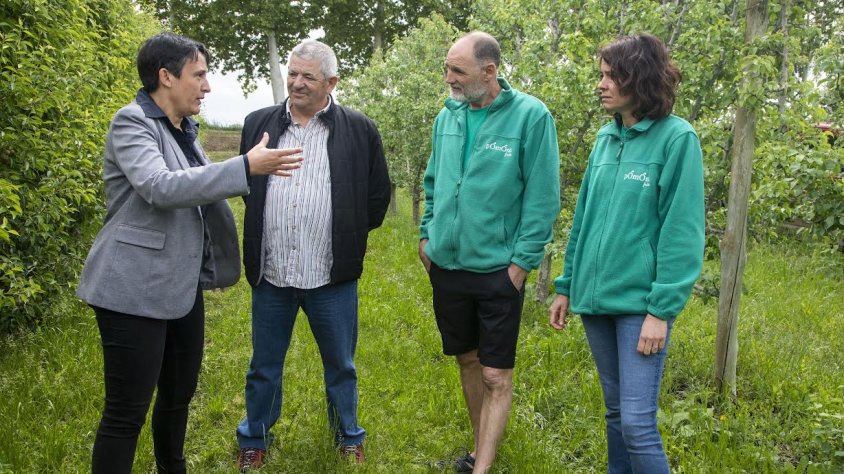 Guillaumes i Torrelles amb els responsables de Pomona Fruits de Bellpuig