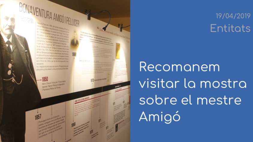 Els Amics de l'Arbre ens conviden a visitar la mostra sobre el mestre Amigó a l'Arxiu Comarcal de l'Urgell
