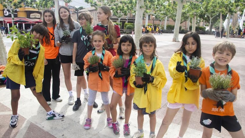 Nens del Cau amb plantes aromàtiques que van plantar a l’entorn de la plaça del Carme