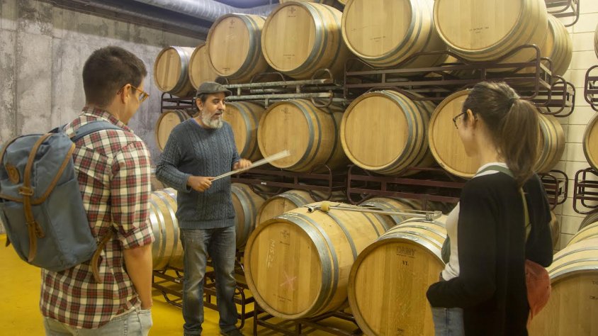 Una de les visites a les instal·lacions de la cooperativa L'Olivera