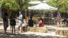 El festival de reggae vol tenir continuïtat a Tàrrega