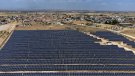 La gran planta solar construïda fa un any a Anglesola encara no pot generar energia
