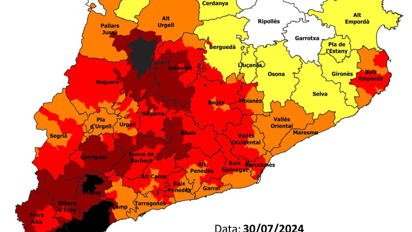 Mata Pla Alfa per aquest dimarts 30 de juliol
