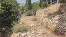 Tàrrega aprova el projecte per millorar el camí de Magí Capdevila Carnicer al Parc de Sant Eloi