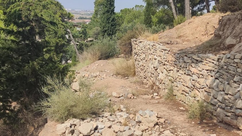 Aspecte actual del camí de Magí Capdevila Carnicer