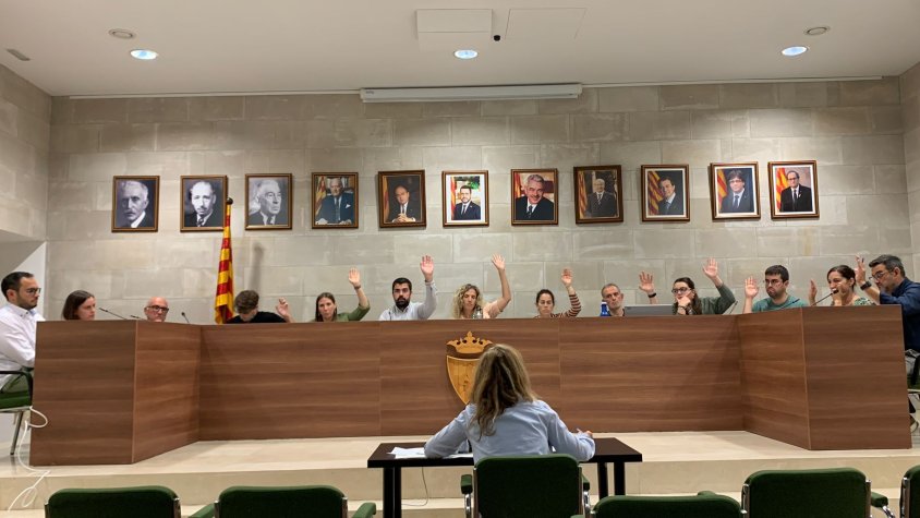 Un moment del ple