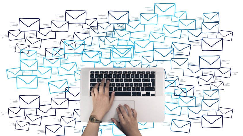 Càpsula 65. Enlarge your dallonses