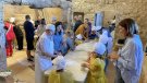 Els regants de Ciutadilla continuen la producció de ceba dolça