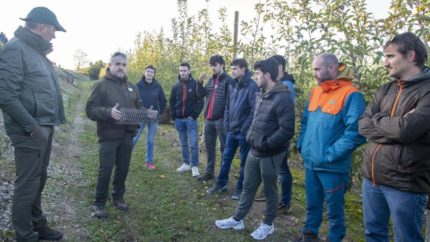 Uns alumnes van analitzar divendres passat gàbies trampa per a conills en camps del terme d’Anglesola