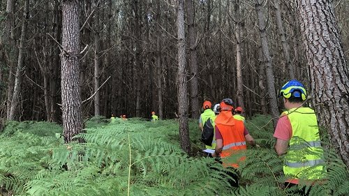Un dels projectes seleccionats passa per qualificar i actualitzar els coneixements dels professionals dedicats a la gestió forestal dels boscos