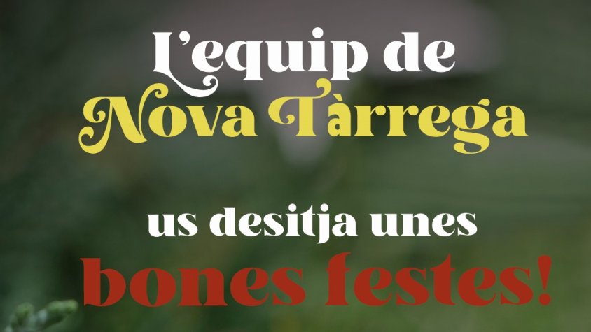 Bones festes
