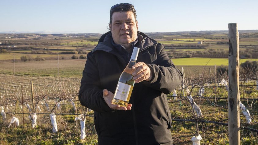 Brufau mostra el vi Tossal Rodó a les vinyes de la finca L'Espina