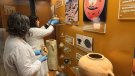El Museu Tàrrega Urgell inicia el projecte museològic per renovar la Sala d’Arqueologia