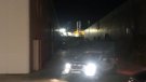 Desmantellen una plantació de ‘maria’ i detenen dues persones a Tàrrega