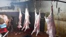 Denuncien un ramader a Anglesola per permetre el sacrifici il·legal de xais a la seva granja