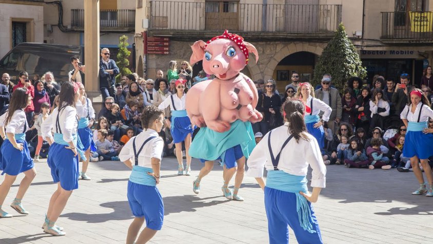 Imatge d'arxiu de la Gamverrada